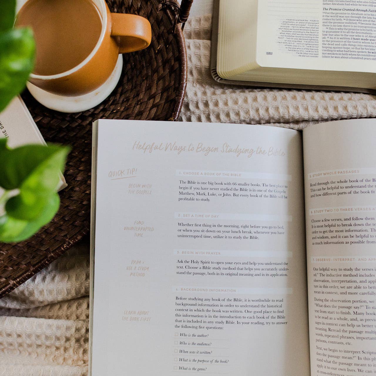 The Daily Grace Co - Wholesale Religion - Faith Foundations | A Study on the Basics of Christianity3