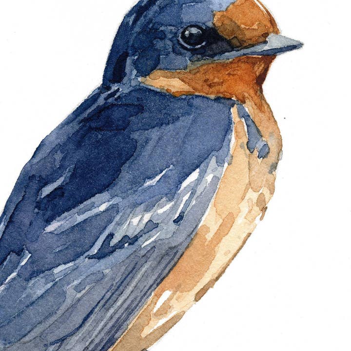 Studio Tuesday - Wholesale Kunstprint - Barn Swallow Aquarel Print, Vogel Schilderij2