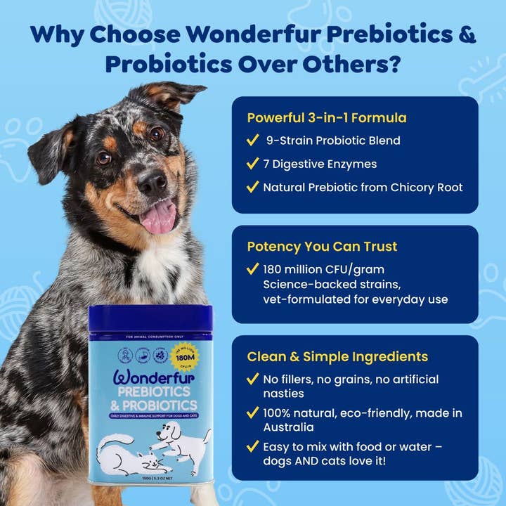 Wonderfur - Wholesale Pet supplement – Cat/dog - Wonderfur Prebiotics & Probiotics for dogs and cats 150g5