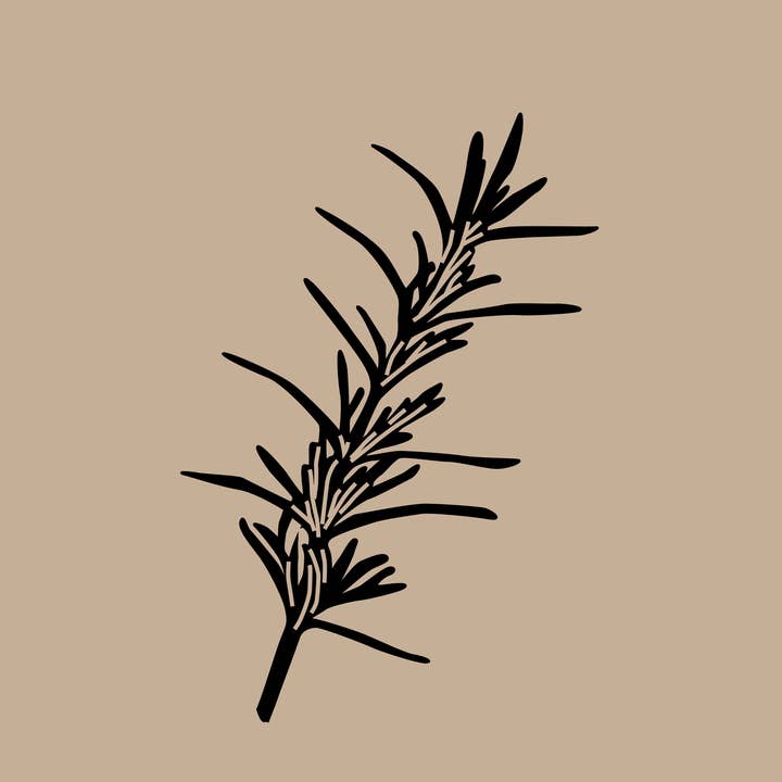 Serge D'Estel - Wholesale Hair Spray - COSMOS NATURL Thermoprotective Vegetable Keratin Spray 250ml3