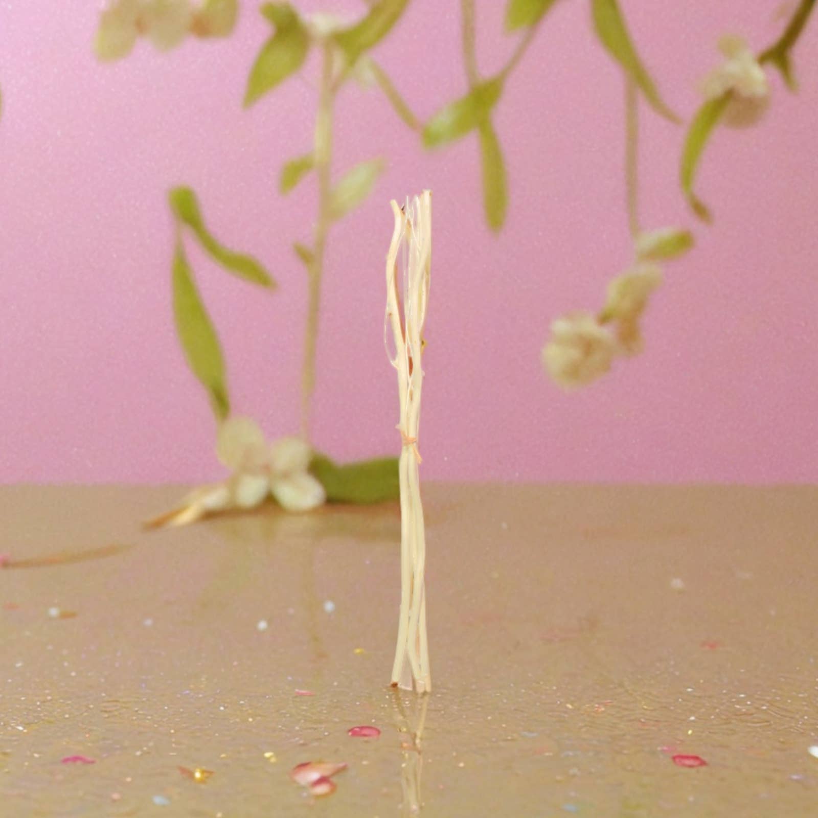 Zen'Arôme - Wholesale Reed Diffuser - Capillarity Diffuser Sticks with branches x 3 - 30cm