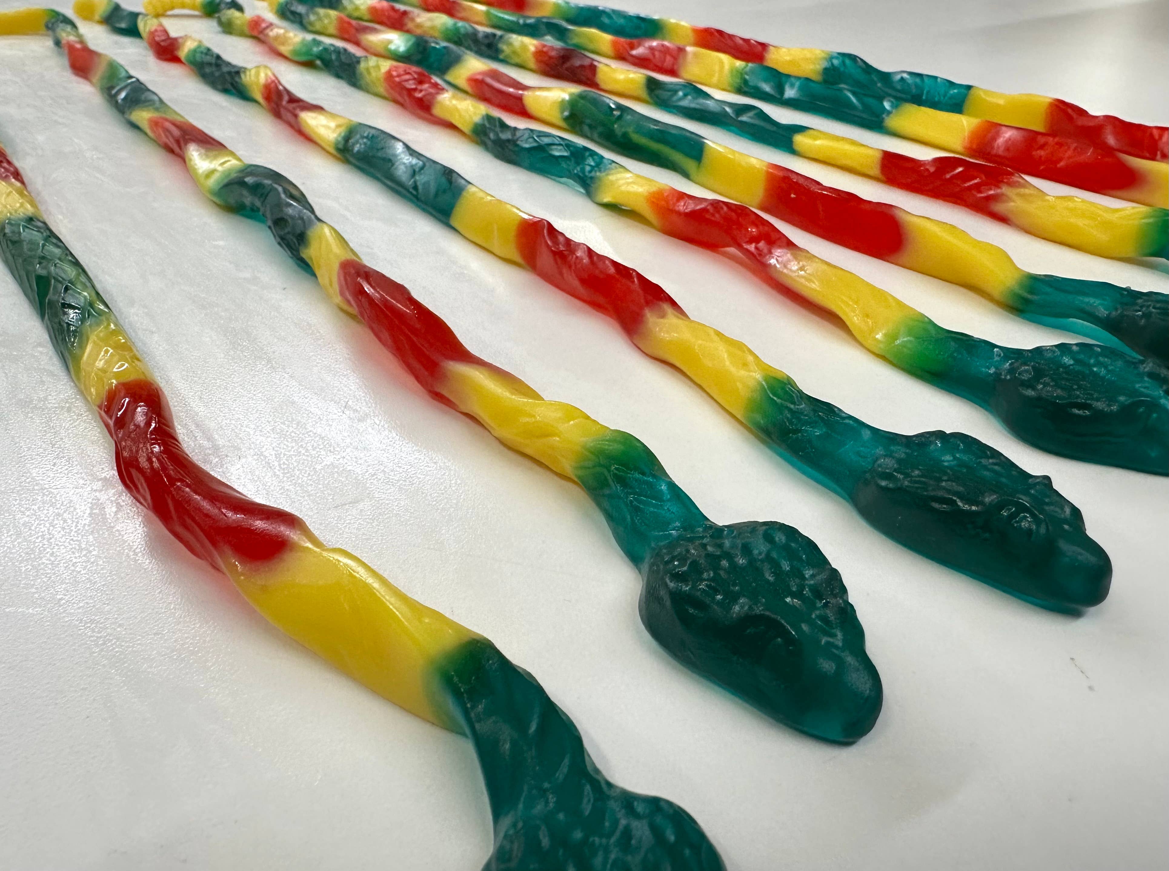 O'Shea's Candies Sweet Shop - Wholesale Gummy - Gummy Rainbow Rattlesnake 🐍 24 Inch Length  1PK5