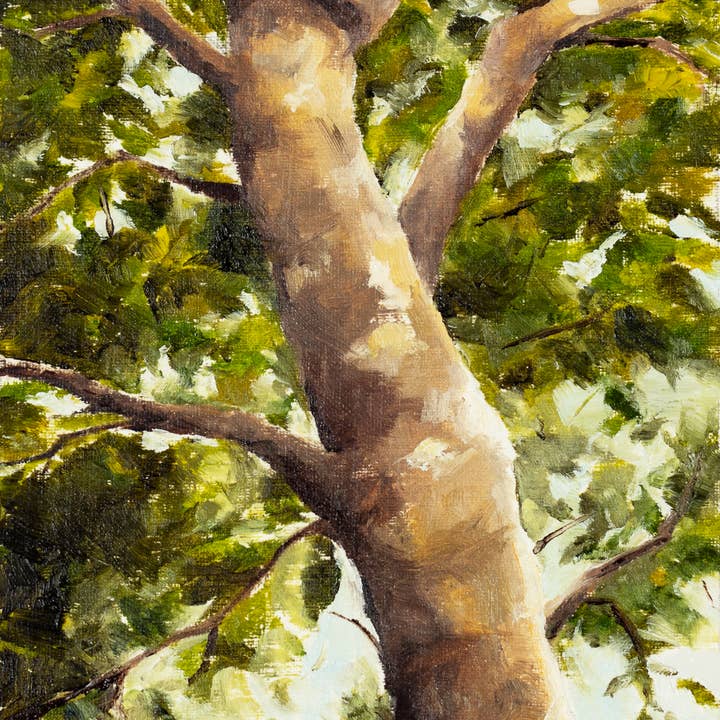 'Dappled' Vintage Style Tree Art Print + Wall Decor for wholesale by Coleman Senecal Art