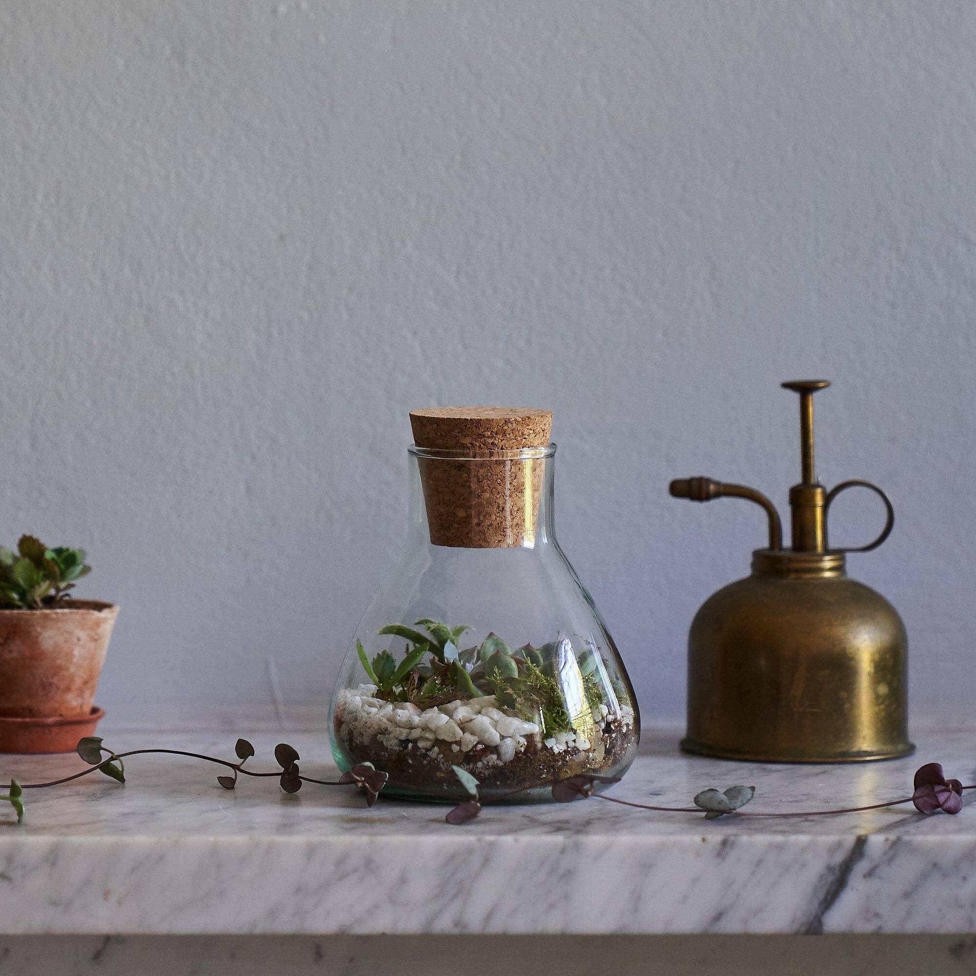 Botanique Workshop - Wholesale DIY Craft Kit - Terrarium Making Kit4