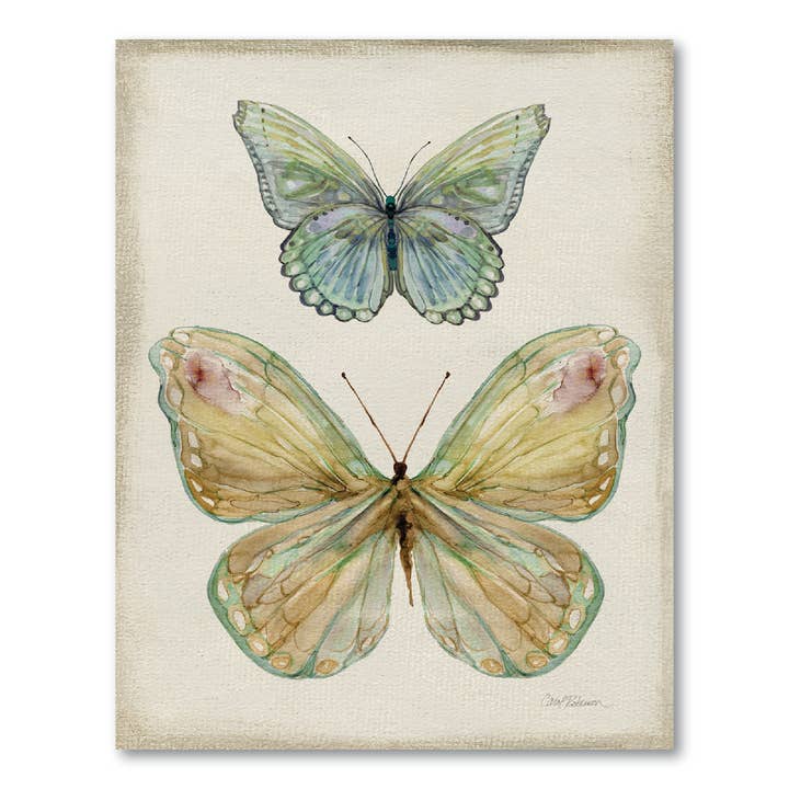 Botanical Butterfly II Gallery-Wrapped Canvas Wall Art for wholesale by Courtside Market