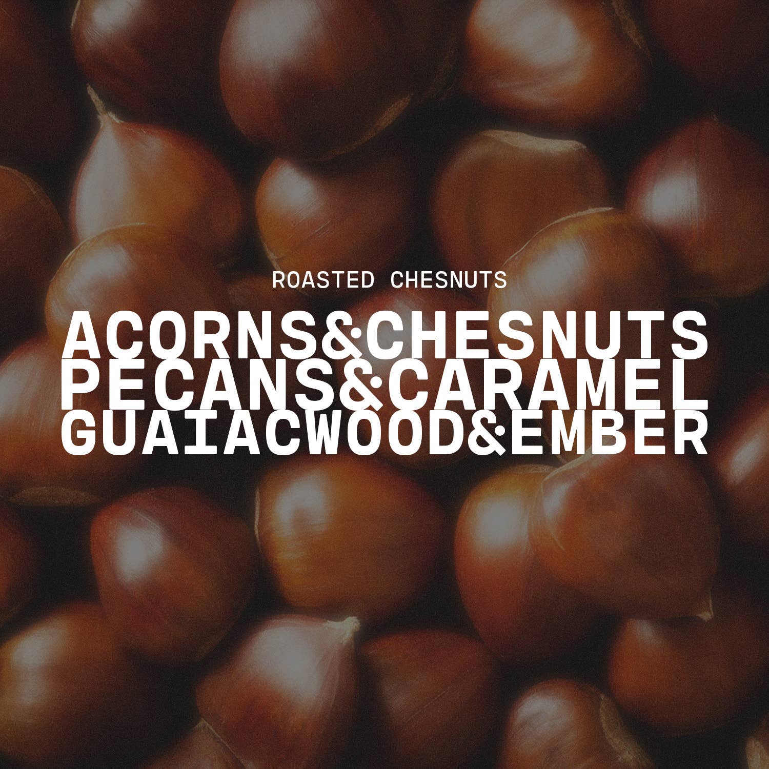 Milkhouse Candle Company - Wholesale Wax Melt - 5.5 oz Wax Melts: Roasted Chestnuts2