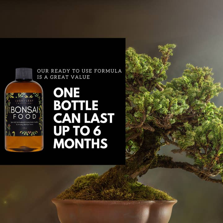 Lush Leaf - Wholesale Fertiliser - Bonsai Plant Food2