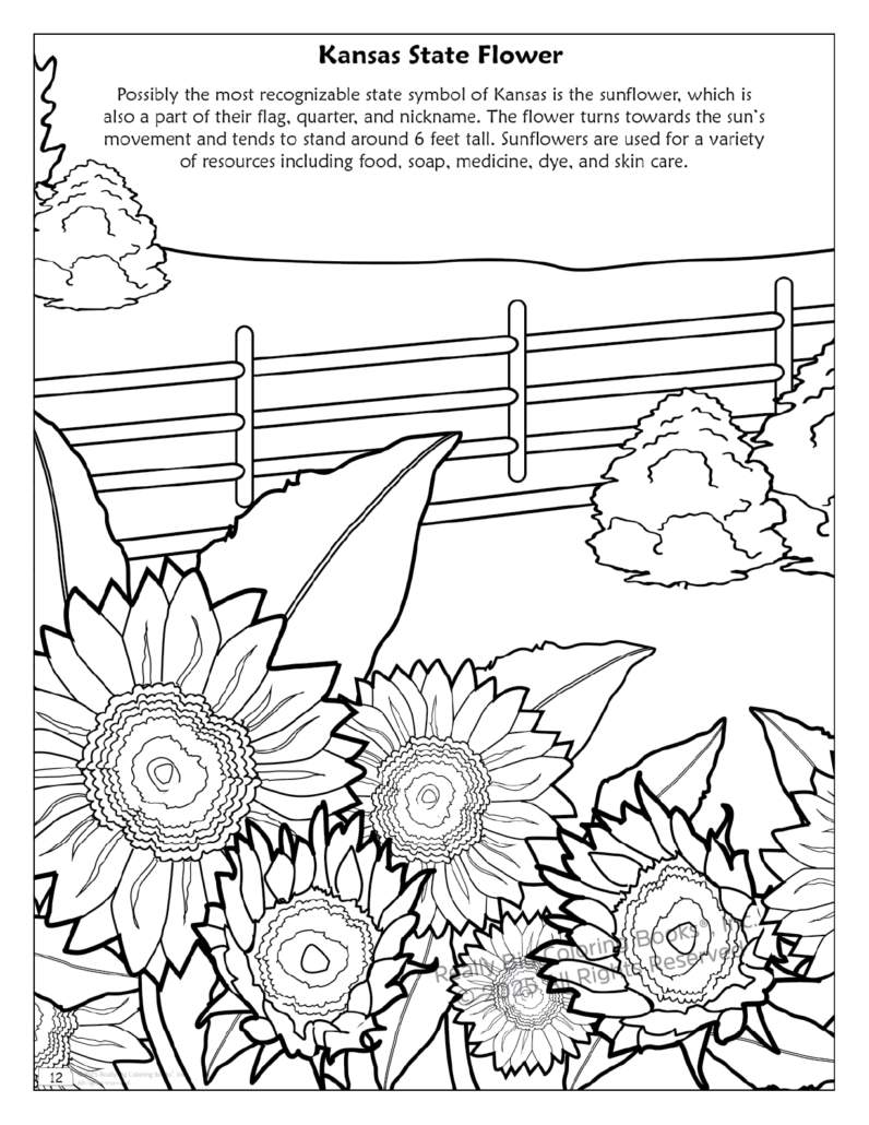 Really Big Coloring Books | ColoringBook.com - Wholesale Coloring & Activity Book - Kids & Baby - Kansas State Coloring Book 8.5 x 113