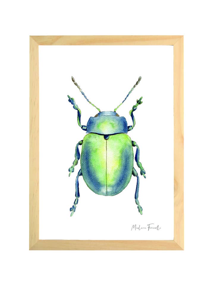 Cadre Animalier Dessiné Et Imprimé - Scarabée pour la vente par Les aquarelles de Marlene