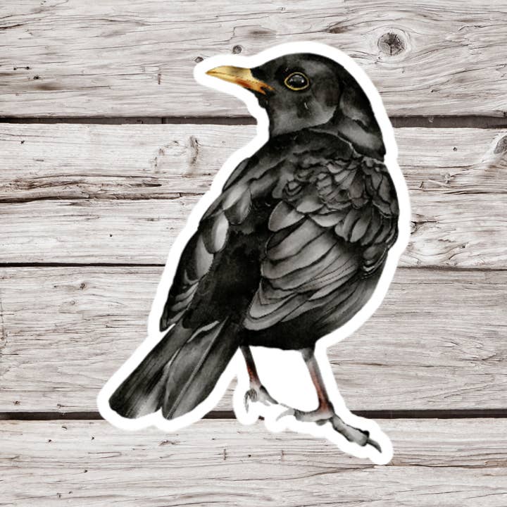 Autocollant corbeau, autocollant corbeau, autocollant oiseau noir, pour la vente par NatureCuts