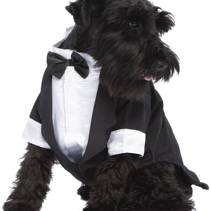Parisian Pet® - Wholesale Pet Vest - Dog - Satin Party Tux – Elegant Formal Dog Tuxedo