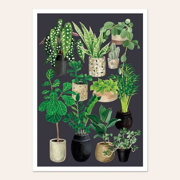 A4 Plant Love Poster (Slate Color) for wholesale by MÉLANIE VOITURIEZ