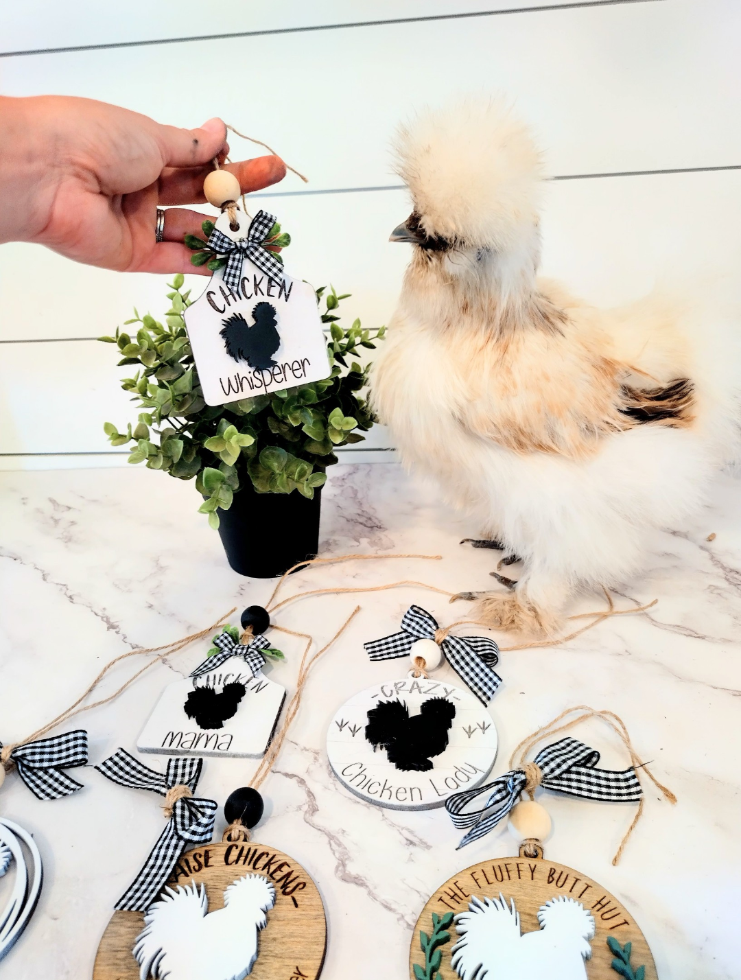 The Cracked Pig - Vente Objets de décoration - Décorations sur le thème du poulet3