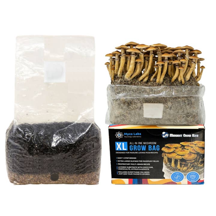 Midwest Grow Kits - Wholesale Planting/potting soil - XL All-in-One Mushroom Grow Bag (6 lbs) for Manure Loving Mushrooms7