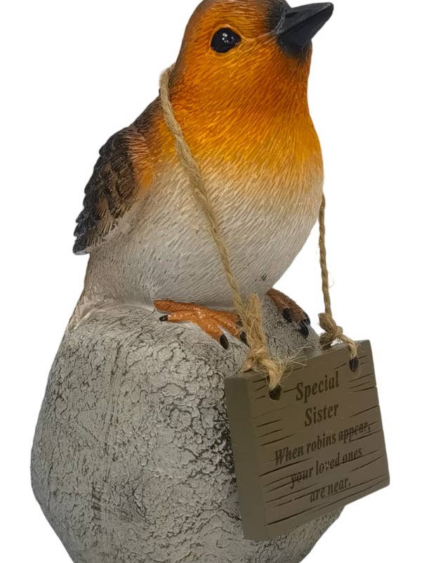 DF19792-K para venta al por mayor de David Fischhoff Ltd