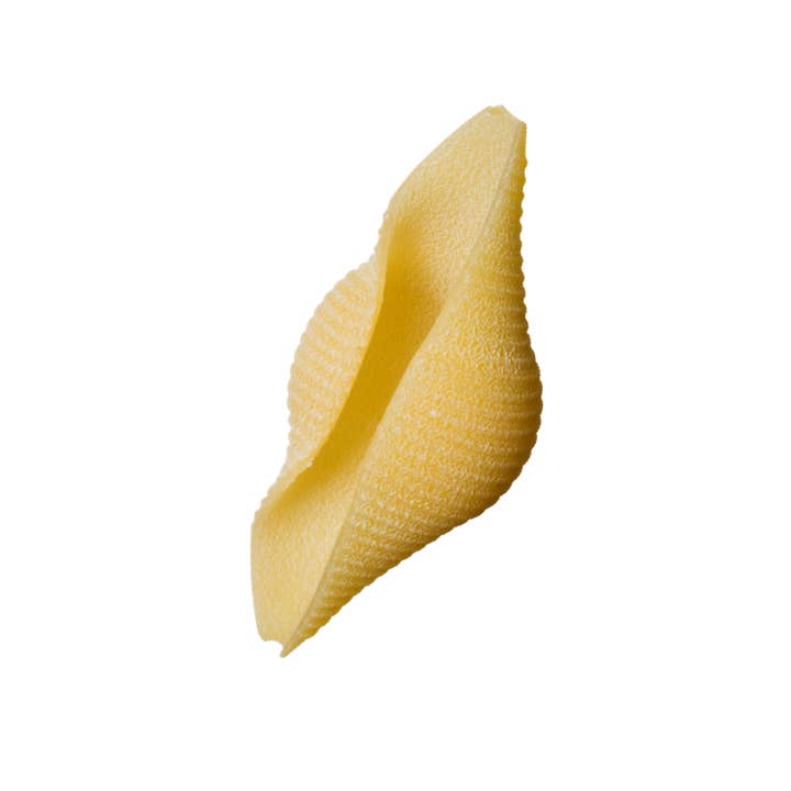 The Italians' Pantry - Wholesale Pasta - Monograno Felicetti Matt Conchiglioni1