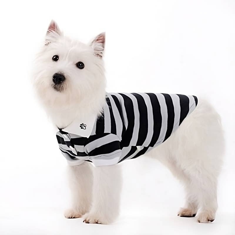 Dogo Pet - Wholesale Pet Shirt - Dog - PP Stripe Polo Shirt16