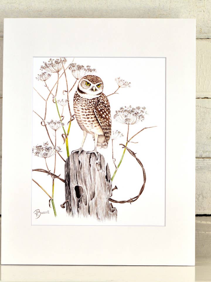 Burrowing Owl Mattted Print, One-Of-A-Kind Watercolor for wholesale by Streetlightbirds