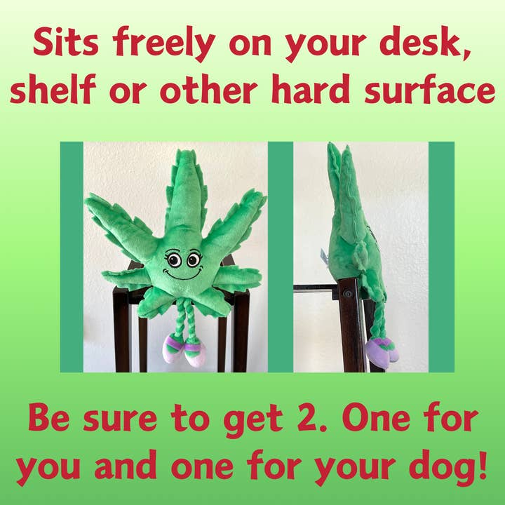 PAW:20 - Wholesale Pet Squeaky Toy - Dog - My Name is Mary Jane the Weed Leaf, Parody Marijuana Dog Toy13