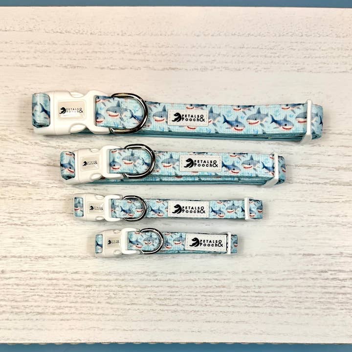 Shark Bait Collar for wholesale by Petals & Pooch