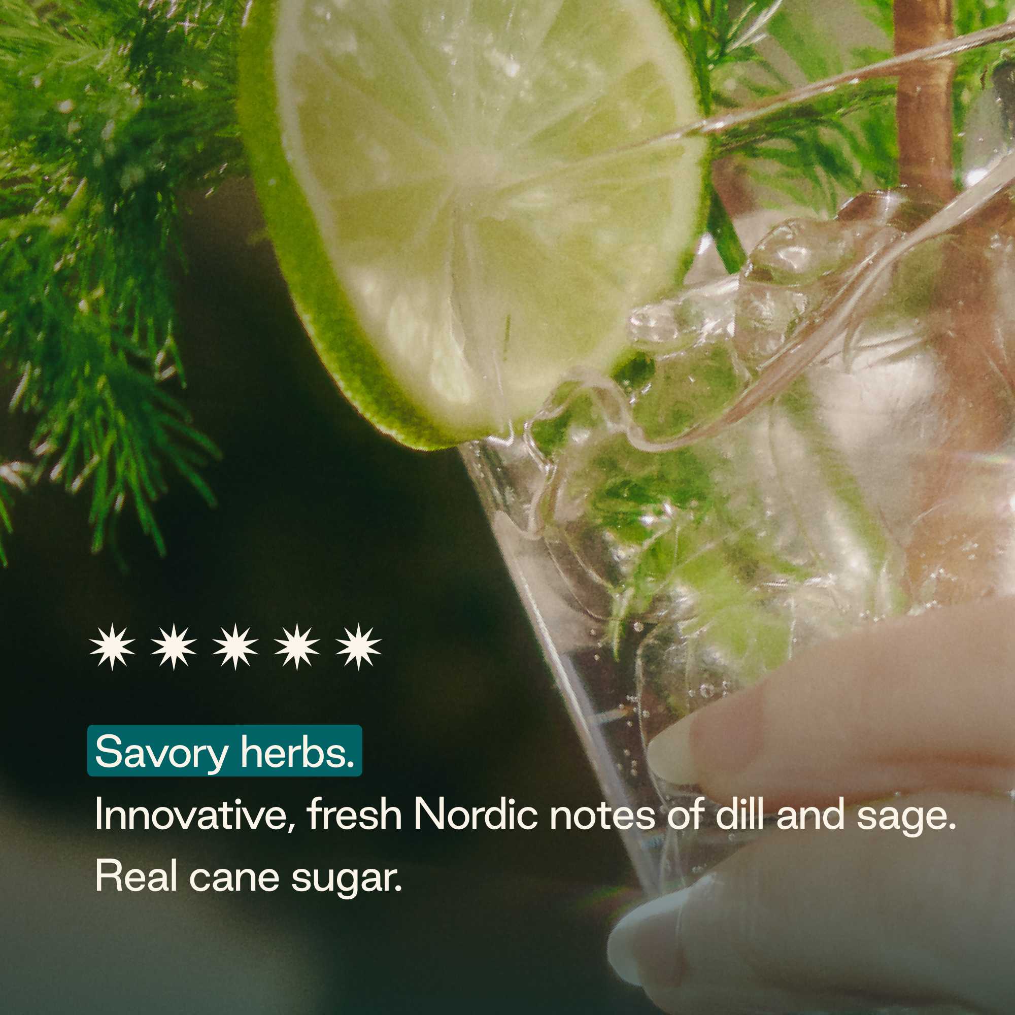 Strongwater - Wholesale Non-Alcoholic Aperitif/Mocktail - Sparkling NA G&T Mocktail3