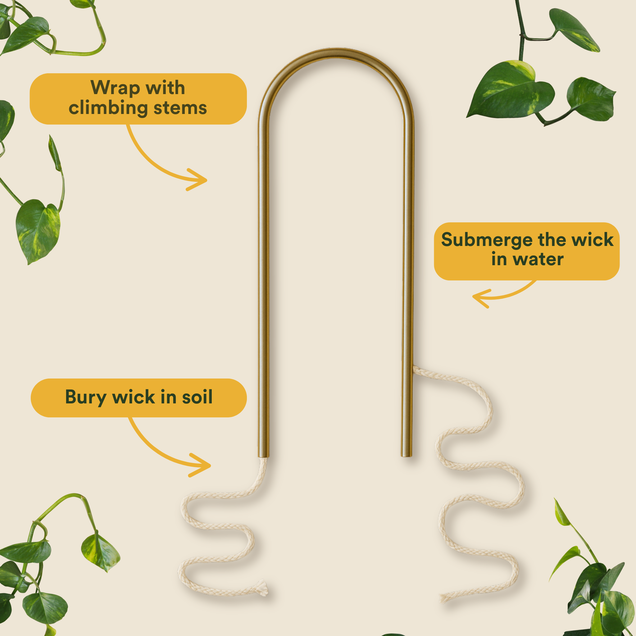 We the Wild Plant Care - Australia - Wholesale Garden Tool - Self-Watering Plant Climber - Case of 64