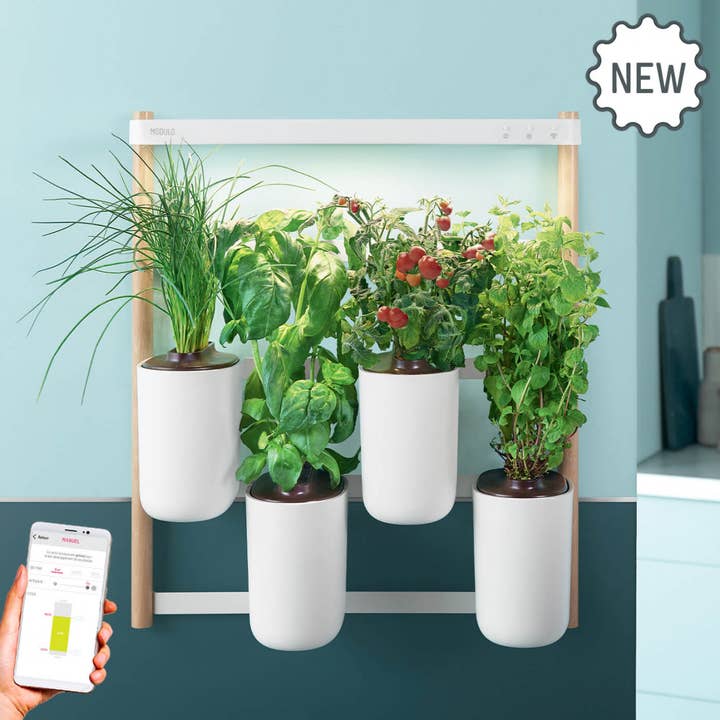 MODULO EU (Pods included: BASIL, CHIVES) and other Purchase Wholesale stand modulaire. Free Returns & Net 60 Terms on Faire trending on Faire.