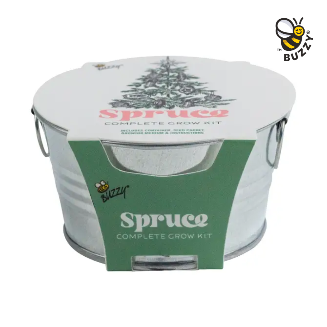 Buzzy Seeds Grow Gifts - Wholesale Plant Seeds - Galvanized Mini Basin Spruce Grow Kit – Holiday Plant Gift0