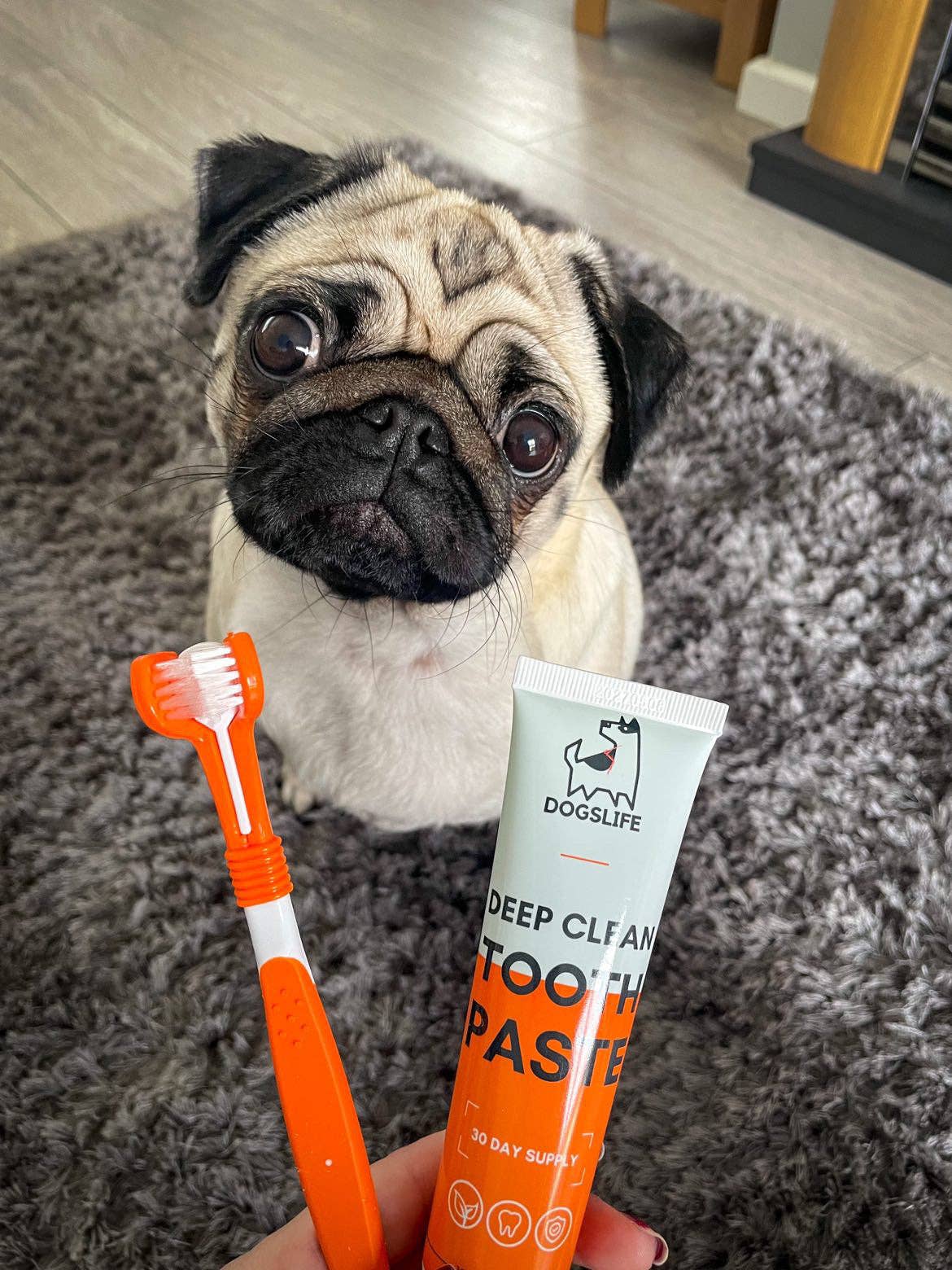 OurPetsLife - Vente Dentifrice – chien - Set de dentifrice et brosse à dents pour chien1