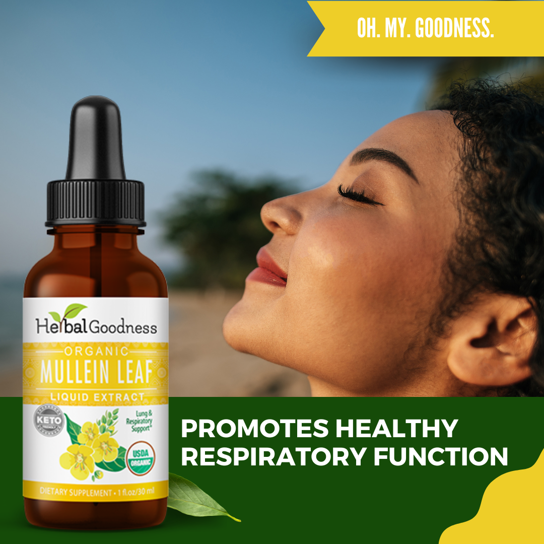 Herbal Goodness - Vendita all'ingrosso Vitamine/integratori orali - Estratto Liquido di Foglie di Verbascum Biologico - 30 ml - Herbal Goodness6