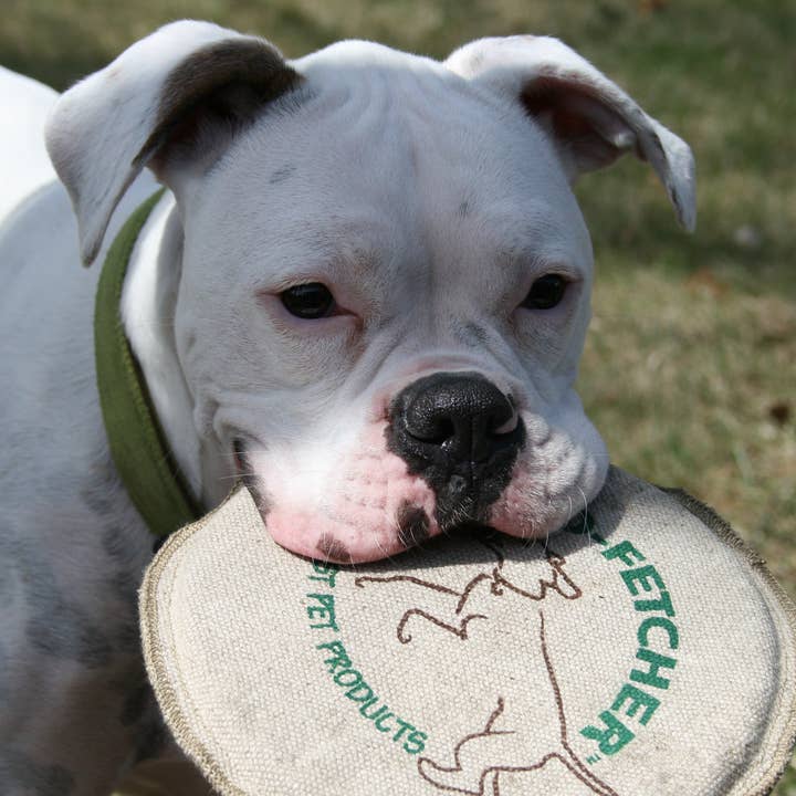 Honest Pet Products - Wholesale Pet Fetch Ball - Dog - Handmade in USA, High-Flying & Floating Dog Frisbee6