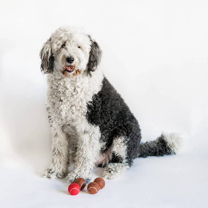 Midlee Red Nose Christmas Dog Tennis Balls (Standard) for wholesale by Midlee Designs