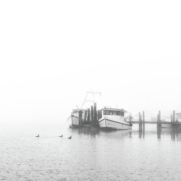 Impressão de Arte Fina de Fulton e Rockport Texas FAR08 por atacado de Breaking Rules Photography