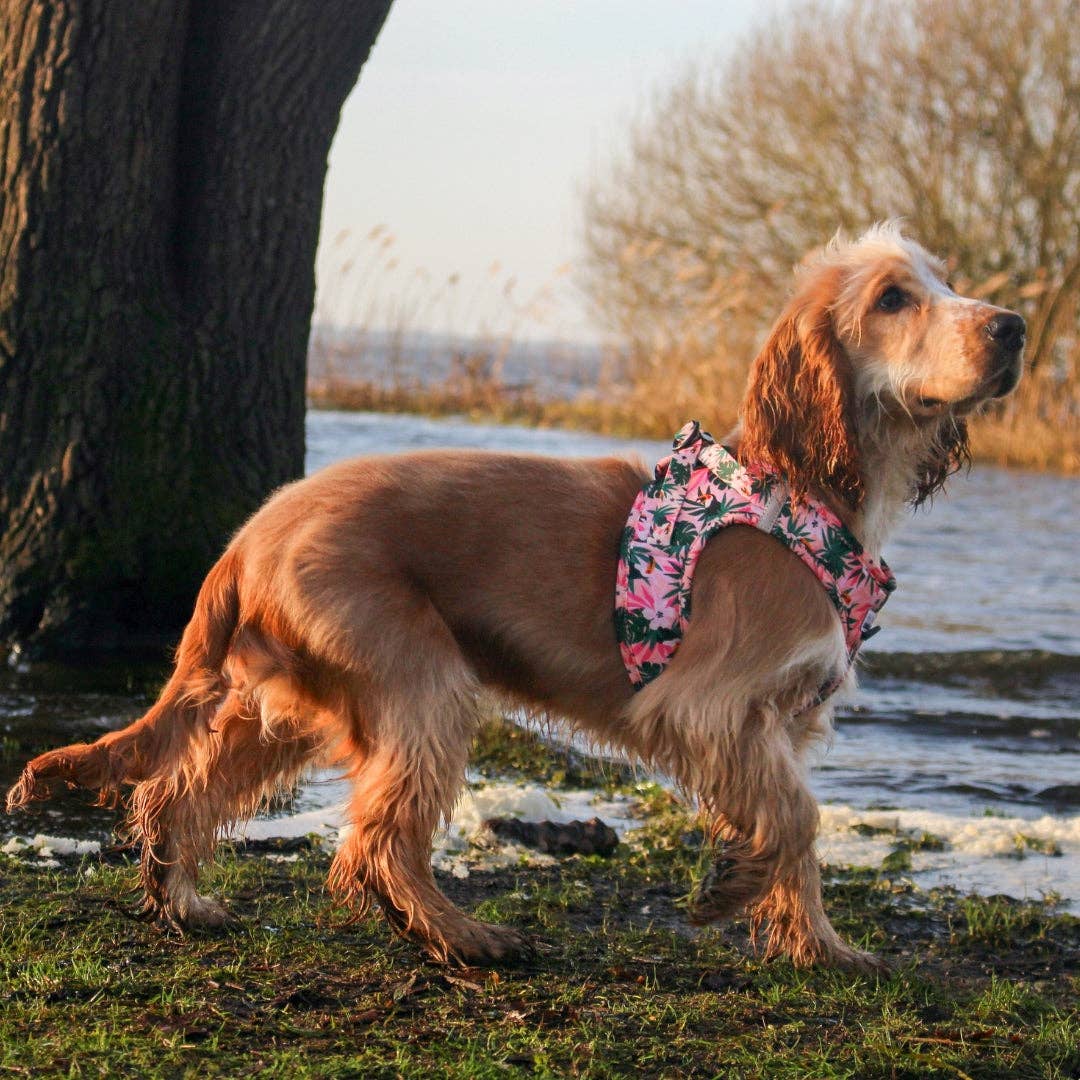 Arizona Hotdogs – Großhandel Haustiergeschirr – Hund – Hundevestgeschirr - Tropicool7