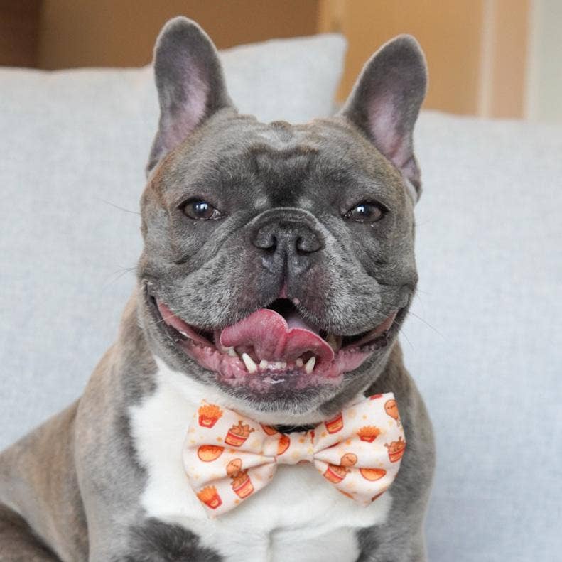 Korriko Pet Supply - Vente Nœud papillon – chien - Nœud papillon pour chien - Poulet et gaufres1