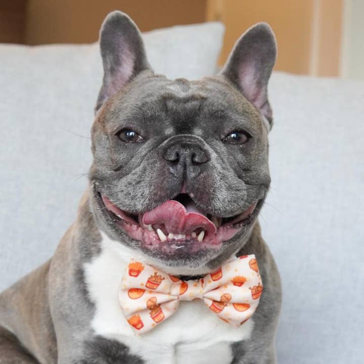 Korriko Pet Supply - Vente Nœud papillon – chien - Nœud papillon pour chien - Poulet et gaufres1