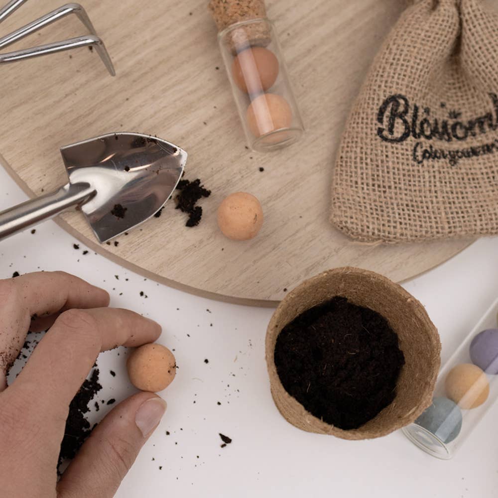 Blossombs - Wholesale Plant Seeds - Gift Box Small “With Love” – Butterfly Mix (7 Flower Bombs)1