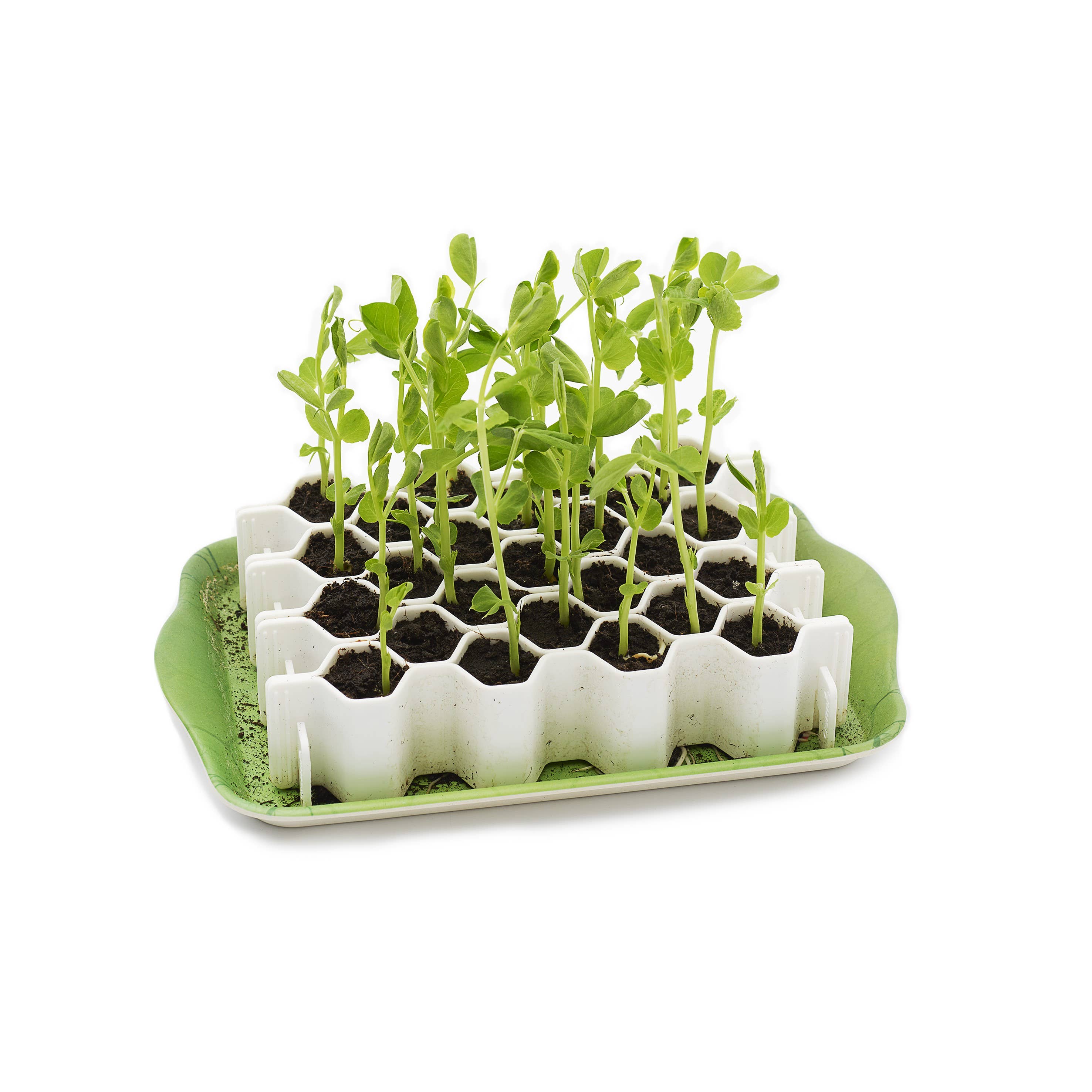 Garden Works - Venta al por mayor Herramientas de jardín - SproutJoy por Garden Works0