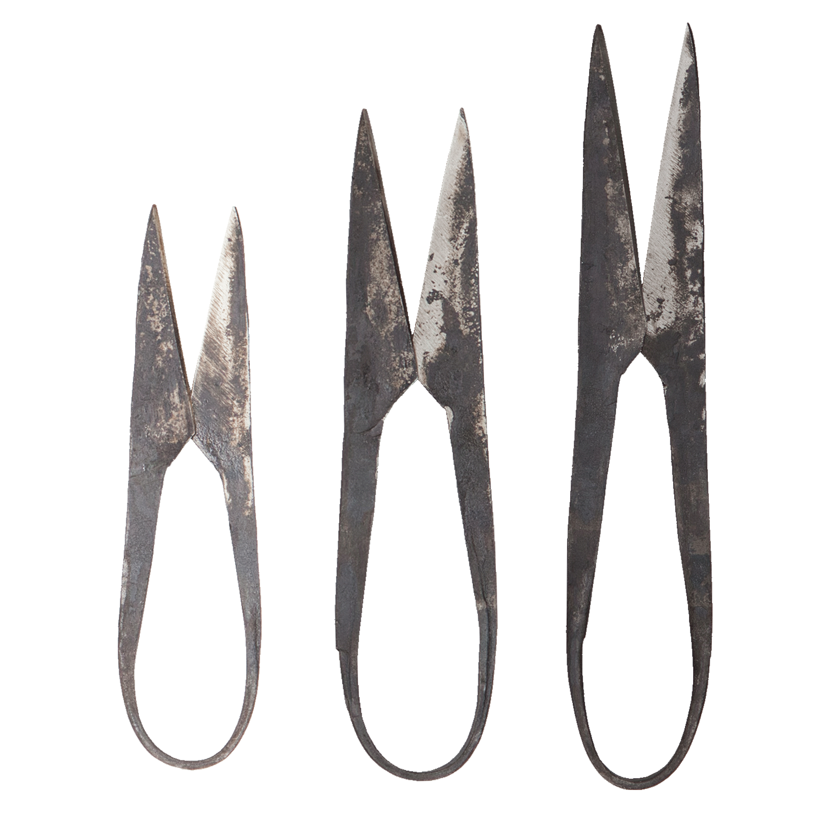 AUTHENTIC BLADES - Wholesale Scissors and Shears - AUTHENTIC BLADES MO, herb scissors, cutting length 4-8cm made of carbon steel8