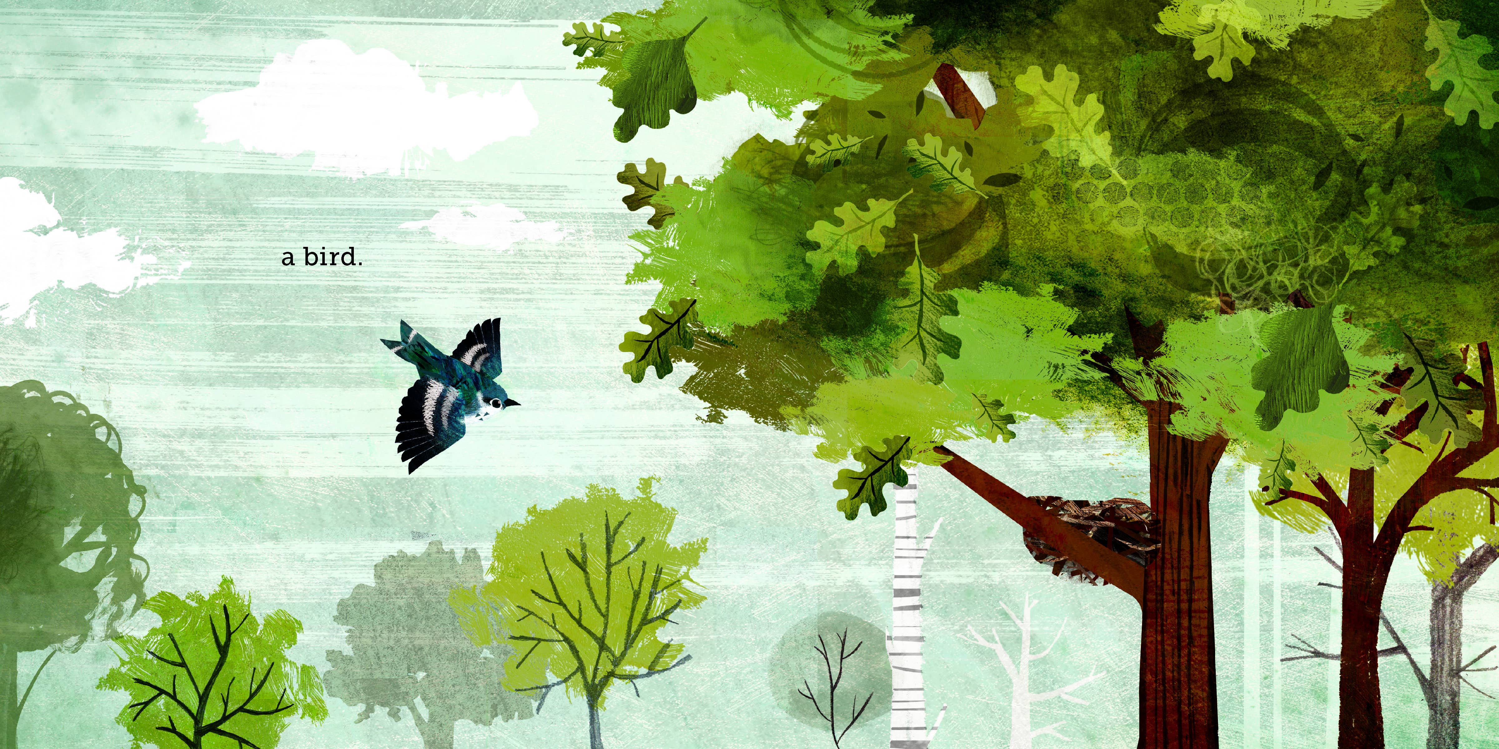 Chronicle Books - Wholesale Preschool Book (3-5) - Because of an Acorn4