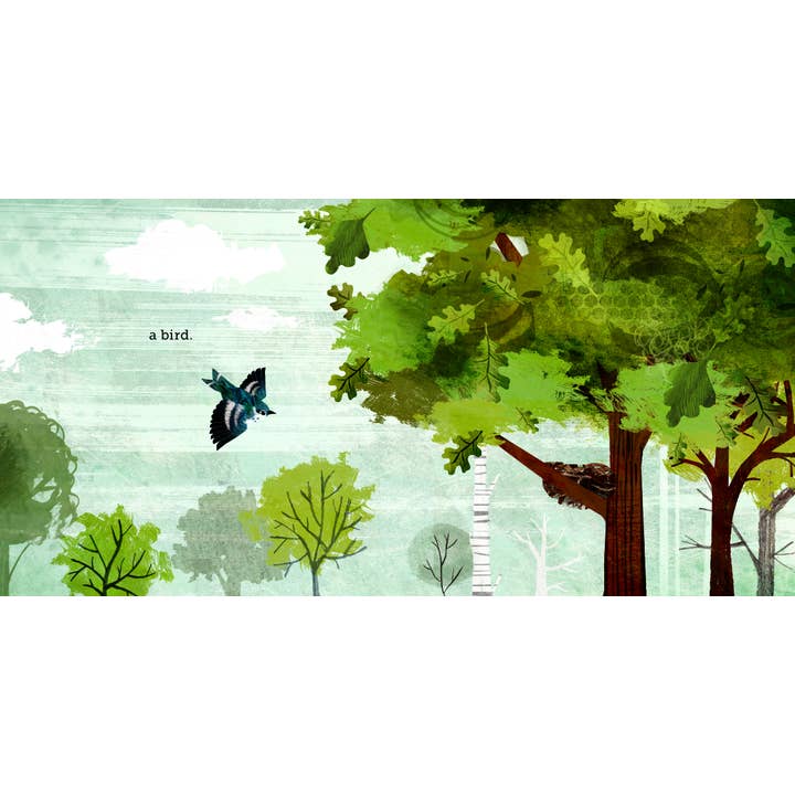 Chronicle Books - Wholesale Preschool Book (3-5) - Because of an Acorn4