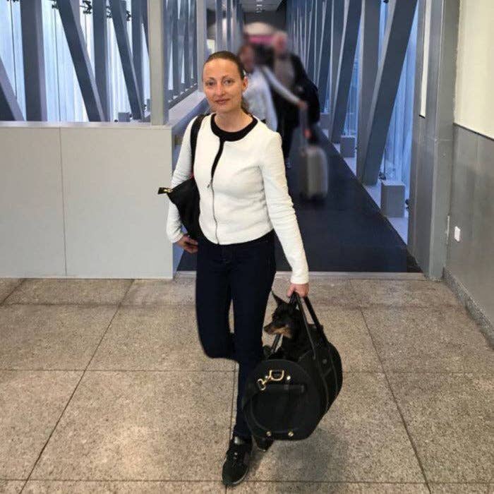 MERÏKH bags & accessories ©™ - Wholesale Pet Carrier - Cat/Dog - Airline approved Pet Carrier L - Black16