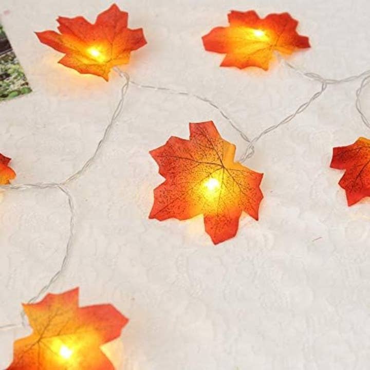 Kiyo Home - Wholesale String lights - Maple String Lights6
