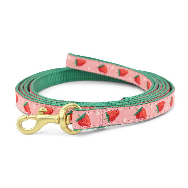 Strawberry Fields Small Breed Dog Lead for wholesale by Up Country, Inc.