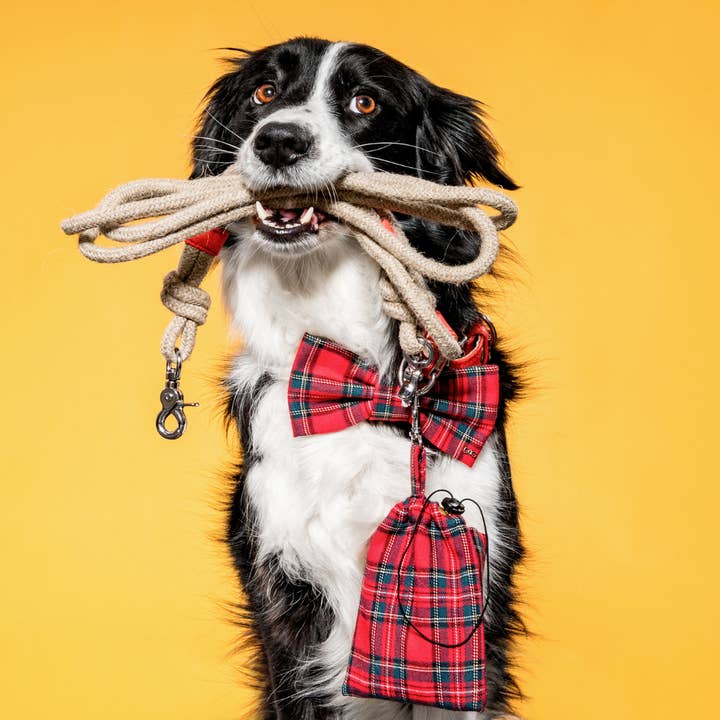 Elegant Red Checkered Dog Treat Pouch | Stylish & Practical for wholesale by FUNKY DOG