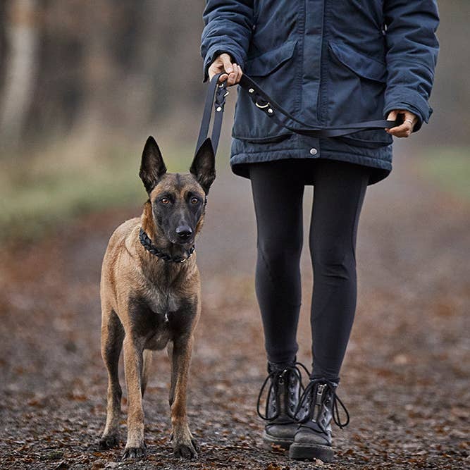 ammi for Dogs - Wholesale Pet Leash - Dog - 3-way adjustable leather leash5