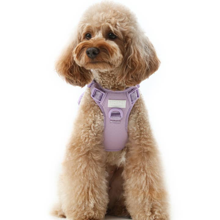 PEHOM - Wholesale Pet Harness - Dog - NO PULL ACTIVE DOG HARNESS - MINT PURPLE
