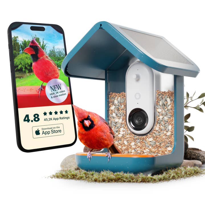 Bird Buddy - Wholesale Bird Feeder - Bird Buddy Smart Bird Feeder PRO with Solar Roof - Blue