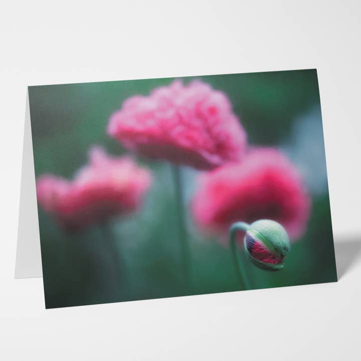 Awakening Single 5x7 Folded Pink Flower Greeting Card for wholesale by Sheryl’s Virtual Garden