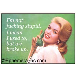 Ephemera - Wholesale Magnet - Magnet: I'm not fucking stupid.